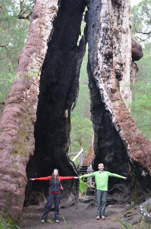 Nutkin Lodge Nornalup Luaran gambar